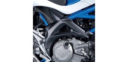 PLACAS BASTID.LOOK CRB SFV65