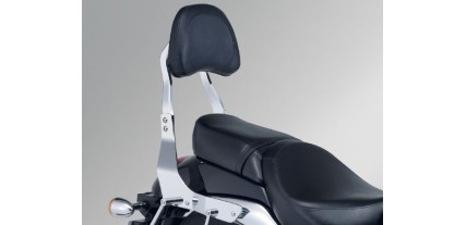 SOPORTE DE RESPALDO VZ800L0