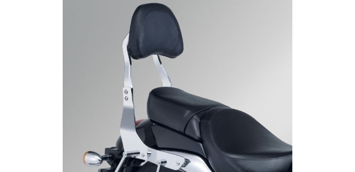 SOPORTE DE RESPALDO VZ800L0