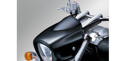 PLACA VELOCIMETRO VZ800L0