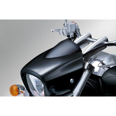 PLACA VELOCIMETRO VZ800L0