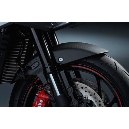 GUARDABARROS CARBONO DEL. 990D0-07L90-CRB