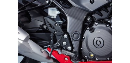 JGO.PROTECCIONES CHASIS CARB