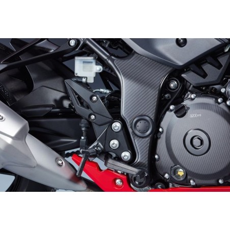 JGO.PROTECCIONES CHASIS CARB