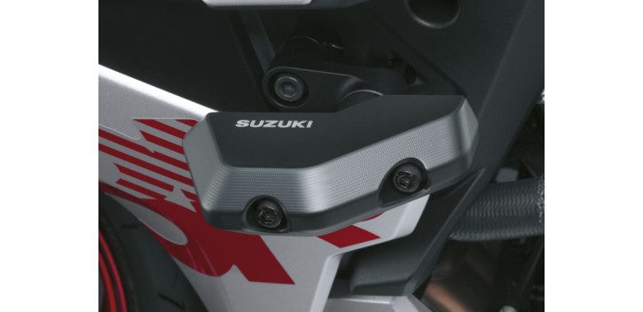 PROTECTOR DE CHASIS GSX-8R