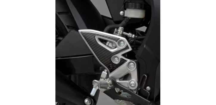 PROTECTOR TALONERA GSX125 R/S 