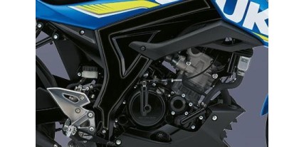 PROTECTOR DE CHASIS GSX125 R/S