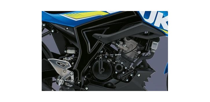 PROTECTOR DE CHASIS GSX125 R/S