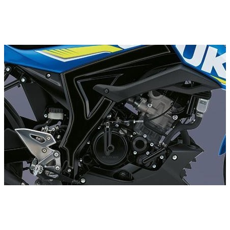 PROTECTOR DE CHASIS GSX125 R/S