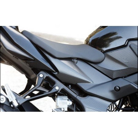 PROTECTOR PLACA LATERAL GSR750