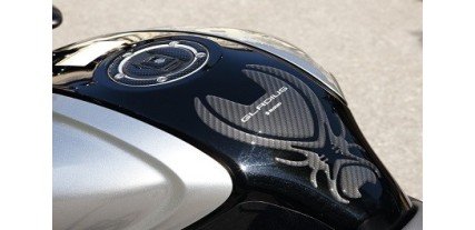 PROTECTOR DEPOSTITO GLADIUS