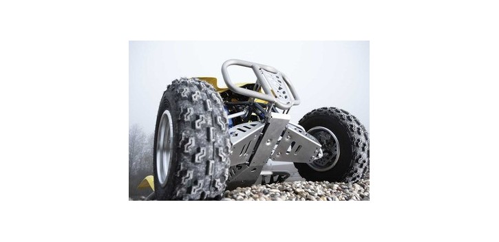 PROT. MOTOR LT-R450
