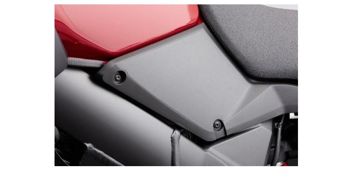 LOWER TANK PROTECTOR BLACK DL1000