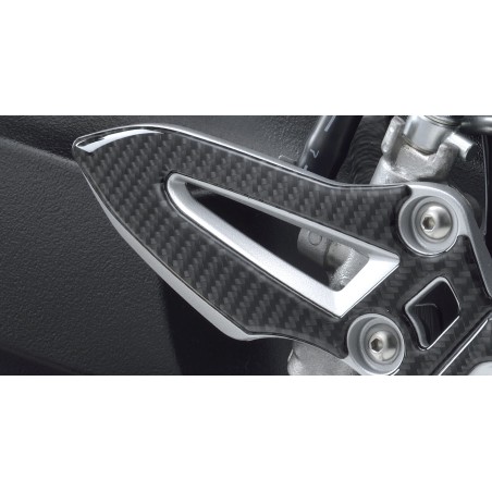 PROTEC.ESTRIB.TRAS.CRB GSX-S